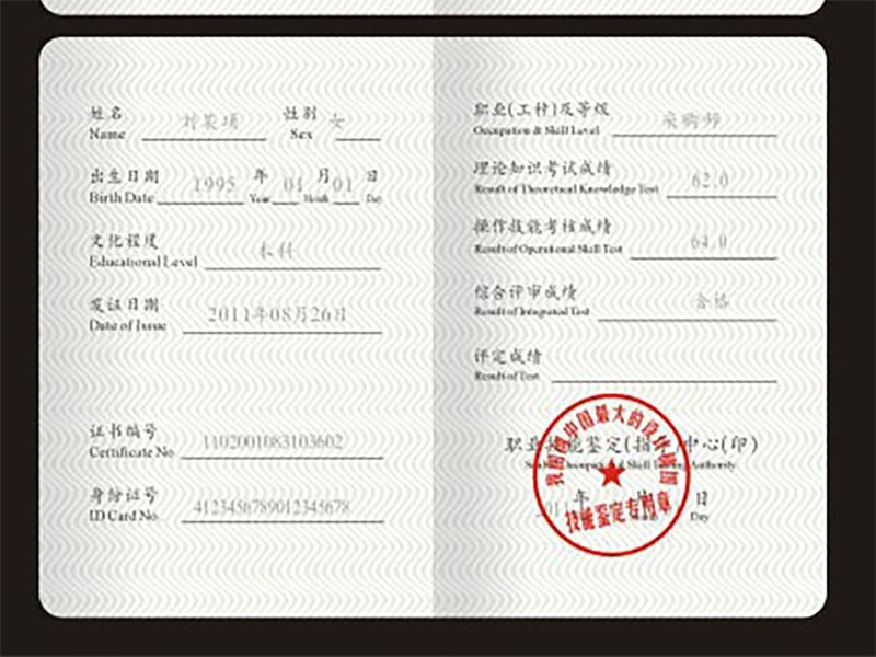 定制证书定制 定制证书定制-红金大气喜庆风