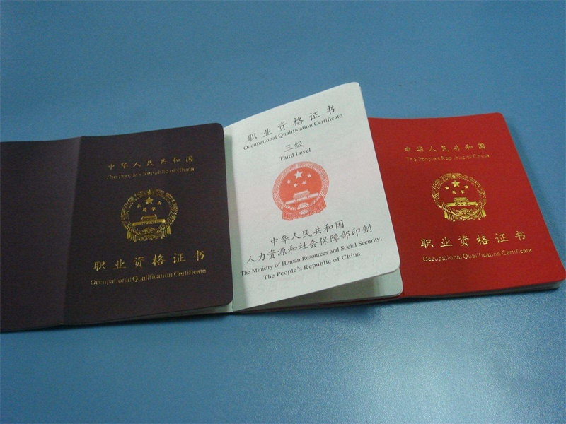 聘书任命书定制 聘书任命书定制-红金大气喜庆风